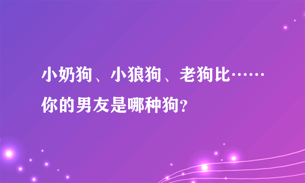 小奶狗、小狼狗、老狗比……你的男友是哪种狗？