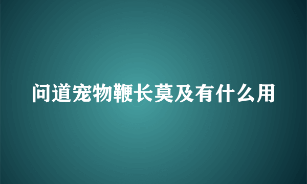 问道宠物鞭长莫及有什么用