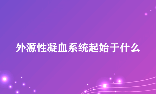 外源性凝血系统起始于什么