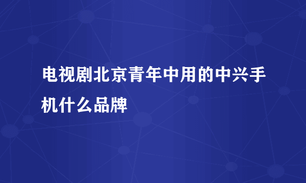 电视剧北京青年中用的中兴手机什么品牌