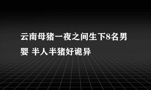 云南母猪一夜之间生下8名男婴 半人半猪好诡异