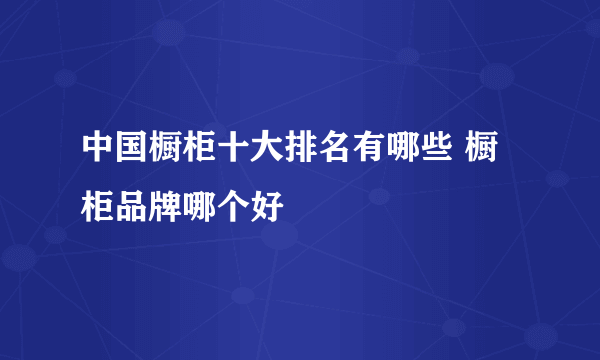 中国橱柜十大排名有哪些 橱柜品牌哪个好