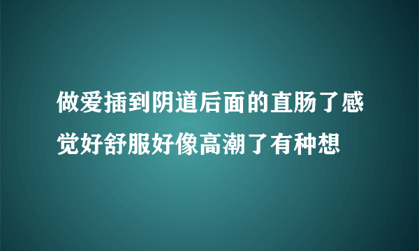 做爱插到阴道后面的直肠了感觉好舒服好像高潮了有种想