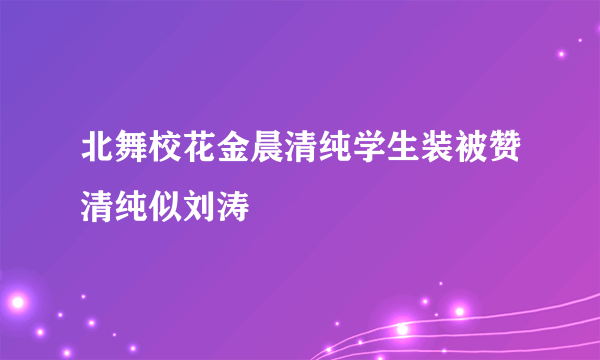 北舞校花金晨清纯学生装被赞清纯似刘涛