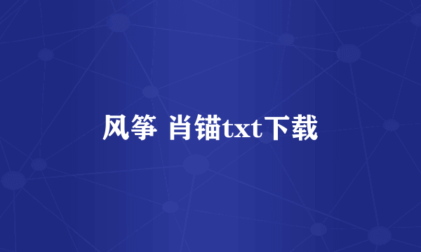 风筝 肖锚txt下载