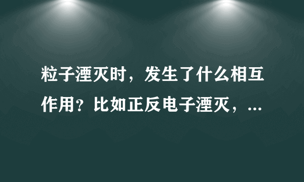 粒子湮灭时，发生了什么相互作用？比如正反电子湮灭，正反质子湮灭，以及正反中微子湮灭（如果可能的话）时？