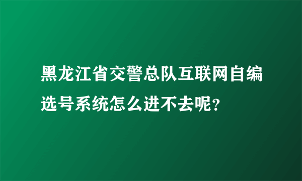 黑龙江省交警总队互联网自编选号系统怎么进不去呢？