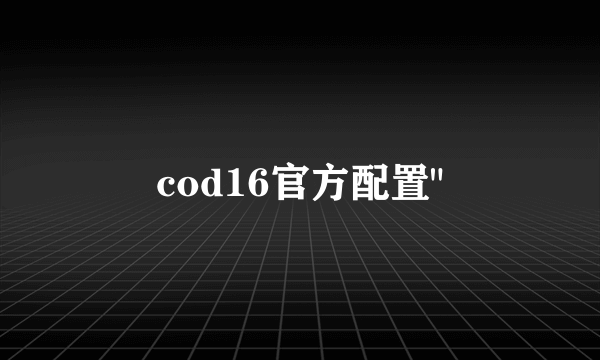 cod16官方配置