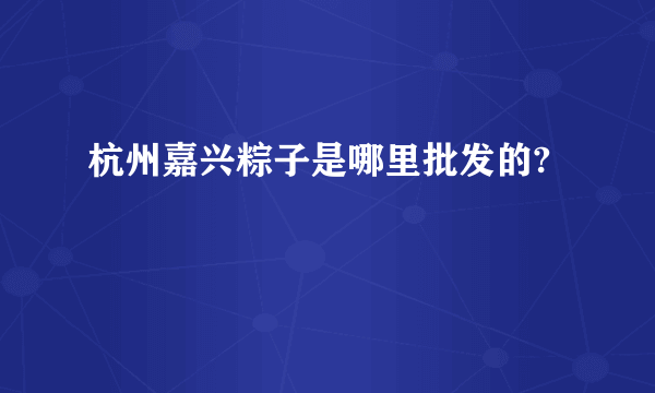 杭州嘉兴粽子是哪里批发的?