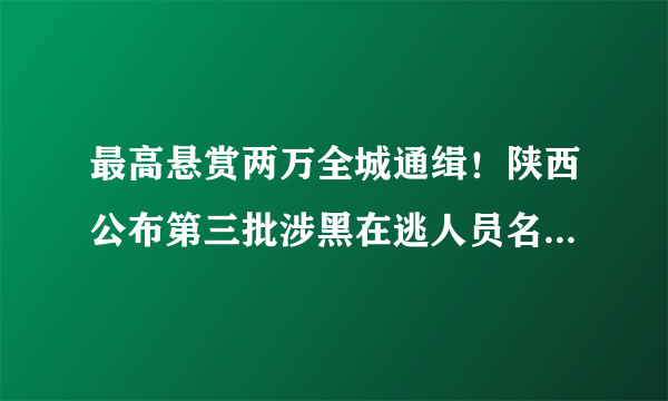 最高悬赏两万全城通缉！陕西公布第三批涉黑在逃人员名单，大荔1人！