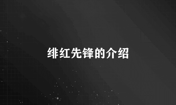 绯红先锋的介绍