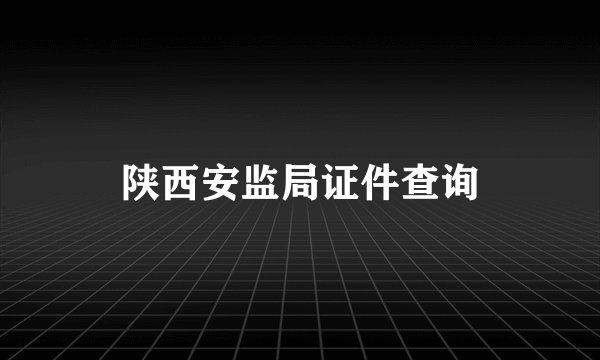 陕西安监局证件查询