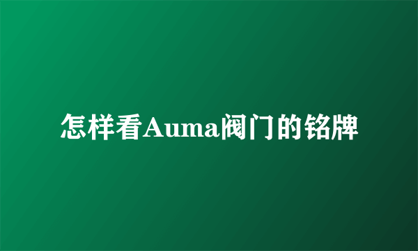 怎样看Auma阀门的铭牌