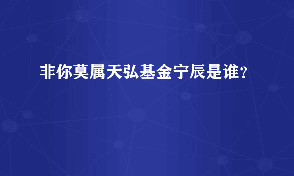 非你莫属天弘基金宁辰是谁？