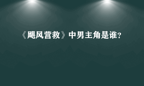 《飓风营救》中男主角是谁？