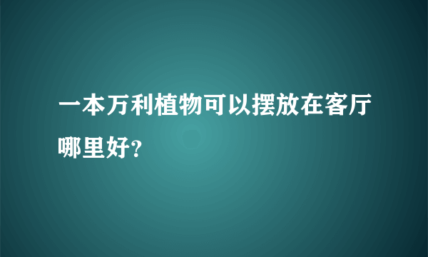 一本万利植物可以摆放在客厅哪里好？