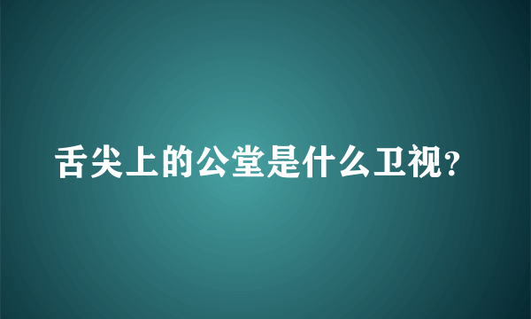 舌尖上的公堂是什么卫视？