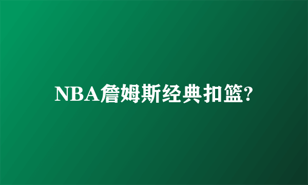 NBA詹姆斯经典扣篮?