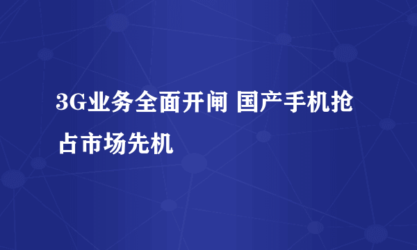 3G业务全面开闸 国产手机抢占市场先机