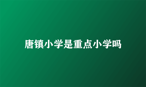 唐镇小学是重点小学吗