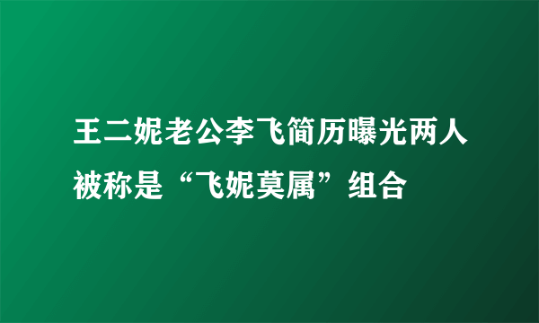 王二妮老公李飞简历曝光两人被称是“飞妮莫属”组合