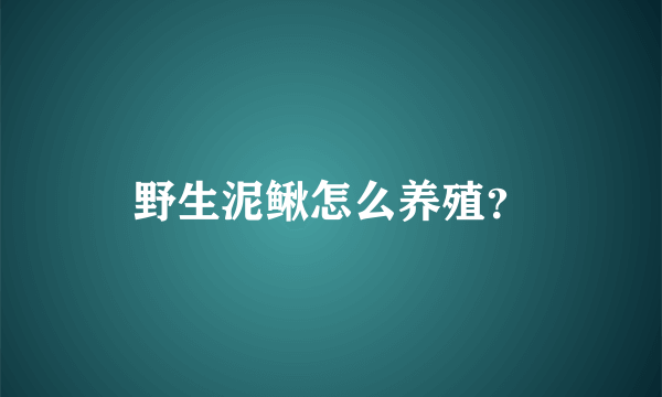 野生泥鳅怎么养殖？