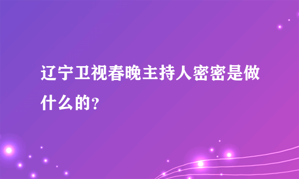 辽宁卫视春晚主持人密密是做什么的？