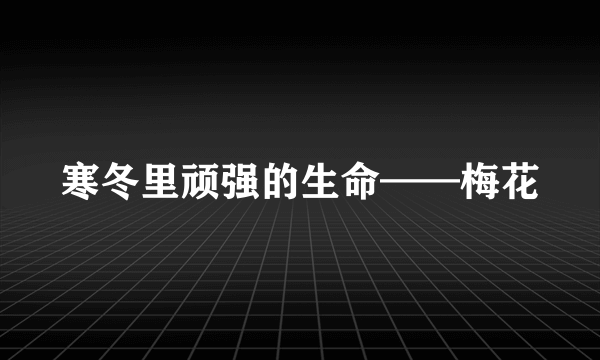 寒冬里顽强的生命——梅花