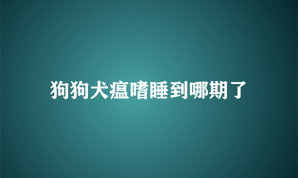 狗狗犬瘟嗜睡到哪期了