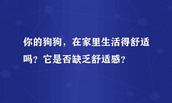 你的狗狗，在家里生活得舒适吗？它是否缺乏舒适感？