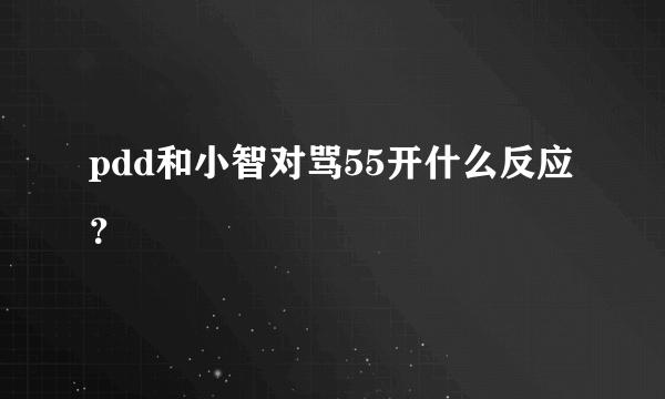 pdd和小智对骂55开什么反应？