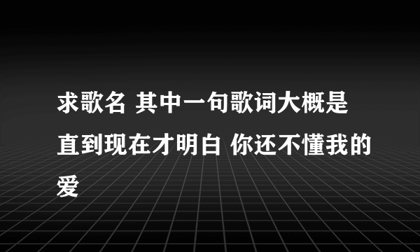 求歌名 其中一句歌词大概是直到现在才明白 你还不懂我的爱