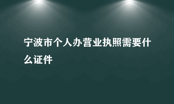 宁波市个人办营业执照需要什么证件