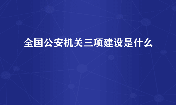 全国公安机关三项建设是什么