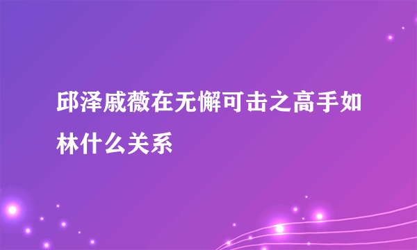 邱泽戚薇在无懈可击之高手如林什么关系