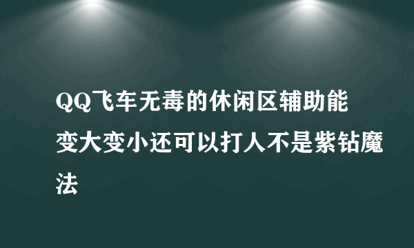 QQ飞车无毒的休闲区辅助能变大变小还可以打人不是紫钻魔法