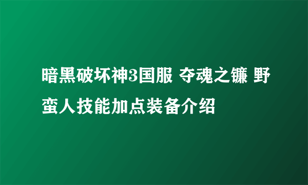 暗黑破坏神3国服 夺魂之镰 野蛮人技能加点装备介绍