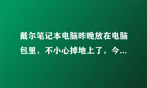 戴尔笔记本电脑昨晚放在电脑包里，不小心掉地上了，今天开机就这样了，求大神告知什么情况，以及怎么解决