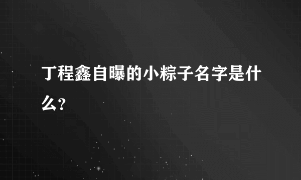 丁程鑫自曝的小粽子名字是什么？