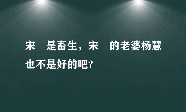 宋喆是畜生，宋喆的老婆杨慧也不是好的吧?