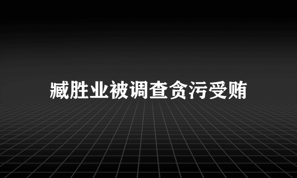 臧胜业被调查贪污受贿