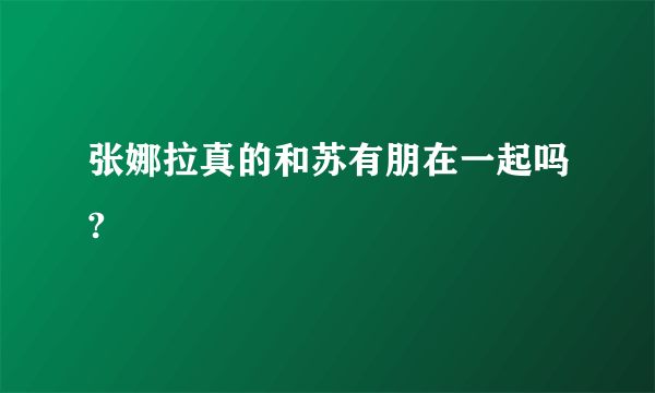 张娜拉真的和苏有朋在一起吗?