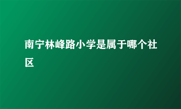 南宁林峰路小学是属于哪个社区