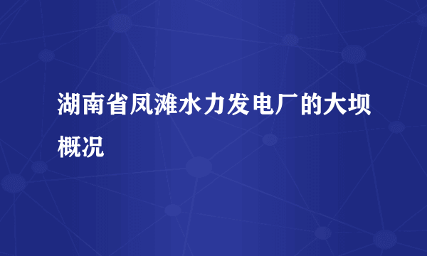 湖南省凤滩水力发电厂的大坝概况