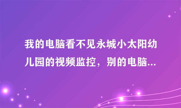 我的电脑看不见永城小太阳幼儿园的视频监控，别的电脑可以，请问要怎么设置？