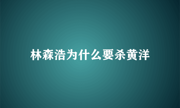 林森浩为什么要杀黄洋