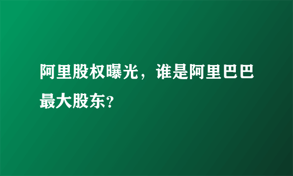 阿里股权曝光，谁是阿里巴巴最大股东？