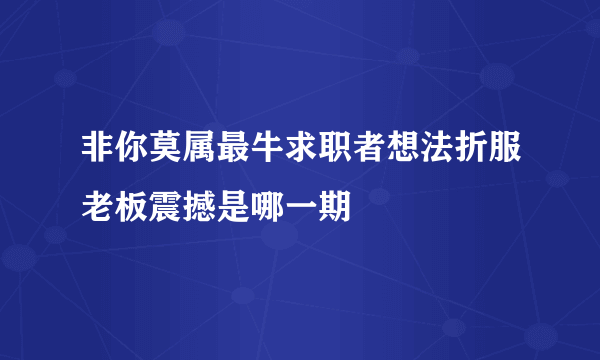 非你莫属最牛求职者想法折服老板震撼是哪一期