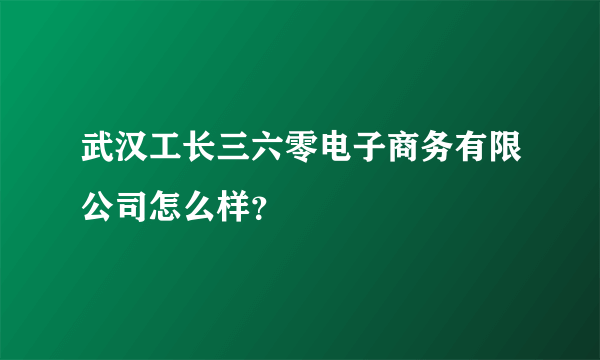 武汉工长三六零电子商务有限公司怎么样？