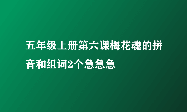 五年级上册第六课梅花魂的拼音和组词2个急急急